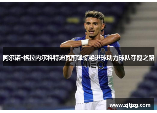 阿尔诺·格拉内尔科特迪瓦前锋惊艳进球助力球队夺冠之路