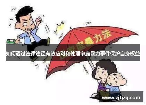 如何通过法律途径有效应对和处理家庭暴力事件保护自身权益