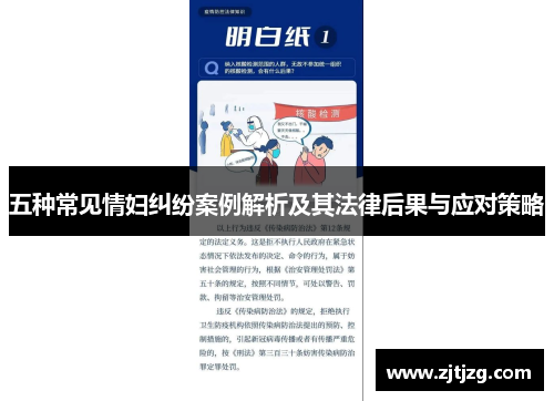 五种常见情妇纠纷案例解析及其法律后果与应对策略